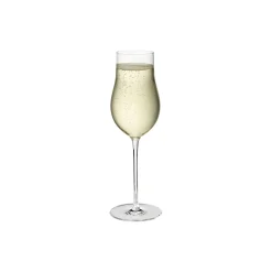Discount Georg Jensen Sky champagnefløjte 6 stk.