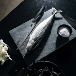 Best Fiskars Taiten filetkniv